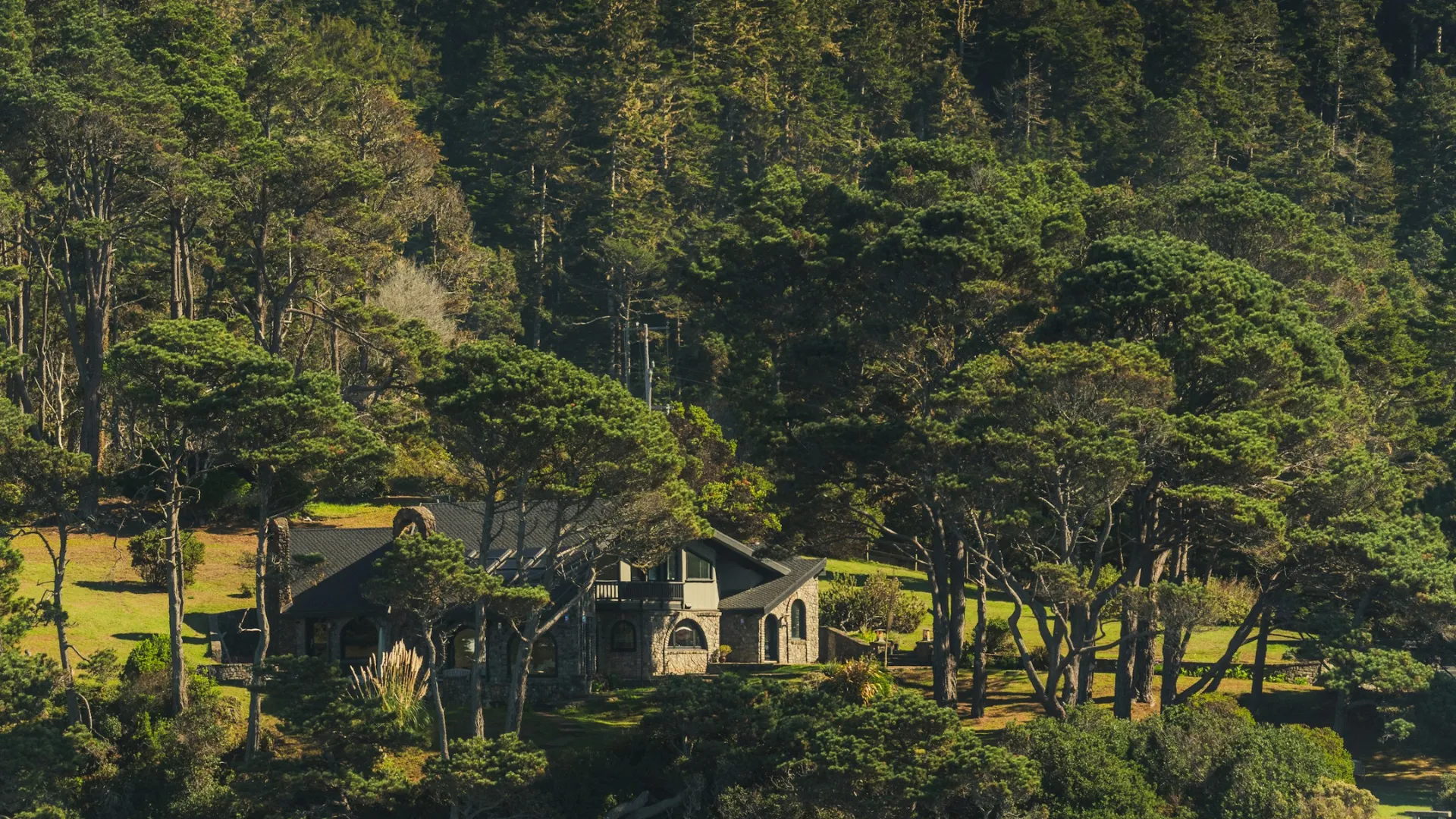 Forêt de Marly et propriétés isolées : la prévention cambriolage qui change en lisière de bois