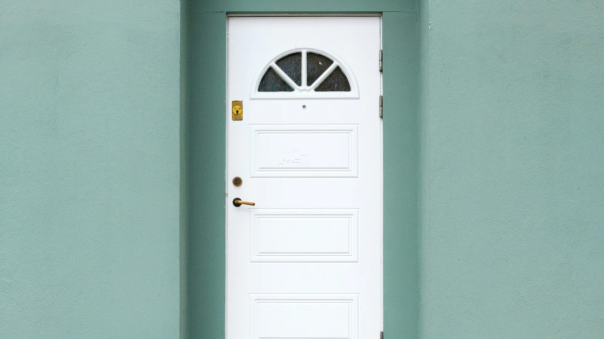 Patrimoine boisé et grandes propriétés à La Celle-Saint-Cloud : une vigilance de voisinage qui ne s'improvise pas